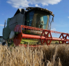 Русия се похвали с рекордна зърнена реколта, включително от окупирана Украйна