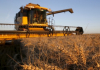 Путин: Земята в Украйна отдавна е продадена на американски компании, те изнасят своето зърно