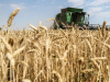 В Истанбул бяха подписани споразумения за износ на зърно от Украйна и селскостопански продукти от Русия