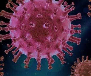 Видоизменен вирус може да блокира коронавирусните инфекции