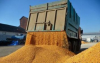 Защо Унгария и Полша спират вноса на зърно от Украйна