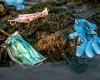 26 хил. тона ковид отпадъци са попаднали в Световния океан