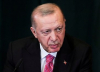 Път към траен мир или само дивиденти за Ердоган ?