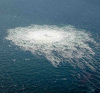 Полша: Яхтата «Андромеда» не е свързана с взривяването на «Северните потоци»