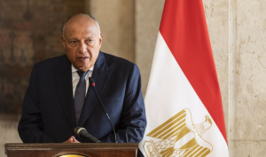 Външният министър на Египет: Палестинците не трябва да бъдат разселвани извън границите на родината