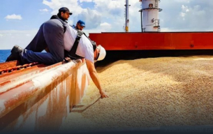 Какво заплашва руския износ на зърно