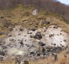 Древният „убиващ камък“ в Япония се разцепи и всички изтръпнаха