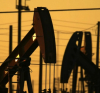 Екоактивисти искат спиране на проекти за нефт и газ