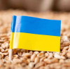Украйна може да губи до $500 млн на месец, ако сделката за зърно се провали