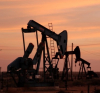 Три нови петролни и газови находища откри Алжир