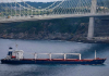 JCC в Истанбул разреши движението на нови пет кораба от украински пристанища