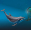 Британците надхитриха бойните делфини: неудобни въпроси за удара по Кримския мост