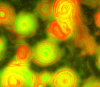 Група хищни бактерии демонстрират &quot;художествена красота&quot;, като в картина на Ван Гог