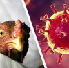 Огнище на птичи грип в контролираната от Киев част от Херсонска област