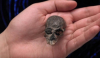 Този малък череп на 20 милиона години ни помага да разберем еволюцията на мозъка