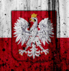 Myśl Polska: Вероятната конфронтация между САЩ и Китай ще влоши позицията на Полша
