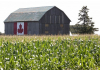 Кой има полза от унищожаването на канадските ферми с непосилен въглероден данък? САЩ?