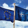 «НАТО и ЕС са разделени на два лагера в отношението си към Русия в конфликта»