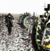 SwebbTV: Украйна загуби 500 000 войници в глобалистката прокси война