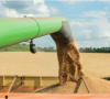 САЩ и техни партньори разработват маршрути за износ на критични резерви зърно от Украйна