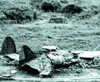 Сваленият израелски самолет при Рупите