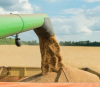 Германски експерти: Без руската пшеница ще настъпи световен глад