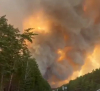 Най-малко 21 загинали в бушуващите горски пожари в Урал и Сибир