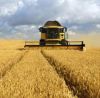 Москва: Няма перспектива за подновяване на зърнената сделка