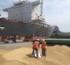 Украйна и Хърватия се споразумяха да използват хърватските пристанища за износ на зърно