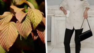 Те се завърнаха! Клинове от 80-те отново са хит Модната носталгия превзе подиумите, а сега навлиза в масовия гардер