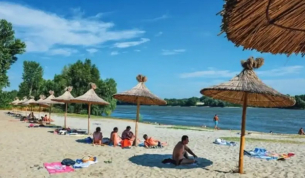Змия вся паника в голям наш град