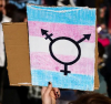 Русия и транссексуалните: готвят забрана за смяна на пола