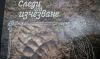 Кампания за запазването на екологичното разнообразие в българските планини