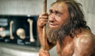 Учени: Секс с предците ни довел до изчезването на неандерталците