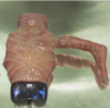 Учени създадоха първото модулно тяло – живо същество, което не е живо
