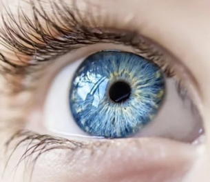 Как да идентифицирате болести по очите