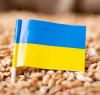 WSJ: „Пазарът умря“ – украинските фермери пресмятат загубите от краха на зърнената сделка