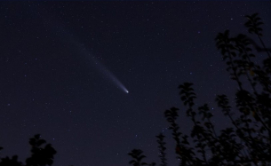 Определиха химичния състав на кометата Понс – Брукс