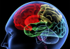 Невролози откриха двигател на съзнанието