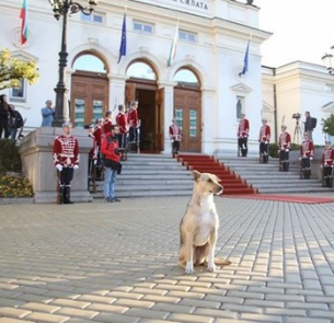 Щастлива компания