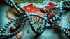 Китай бие тревога: „Генетични оръжия“ могат да унищожат определена раса или етническа група