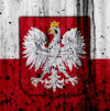 „Нова военна цел“: В САЩ разкриха план за нахлуване на Полша в Украйна