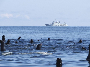 Едно от най-трудните места за изследване: Защо Беринговият мост е толкова важен