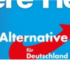 Алтернатива за Германия спечели за първи път кметско място в Германия