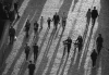 Определят точната геолокация на човек по микробиома му
