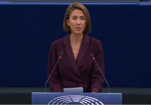 &quot;Пеевски е заплаха за демокрацията&quot; срещу &quot;демонизират се&quot;. ЕП обсъди върховенството на правото в България