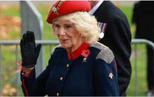 Кралица Камила влезе в нов криминален трилър