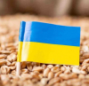 Рим: 95% от украинското зърно не отива в Африка