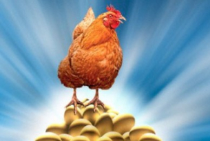 Японците нямат навика да колят кокошките, снасящи златни яйца