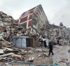 Четирима турски депутати и техните семейства загинаха при адското земетресение
